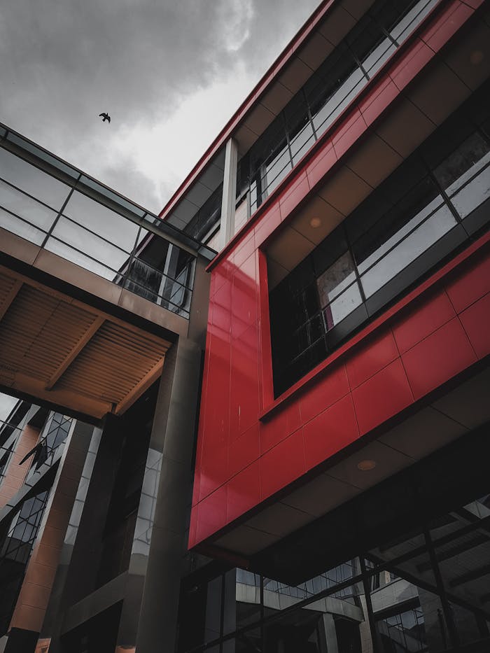 pexels photo 8942217.jpeg